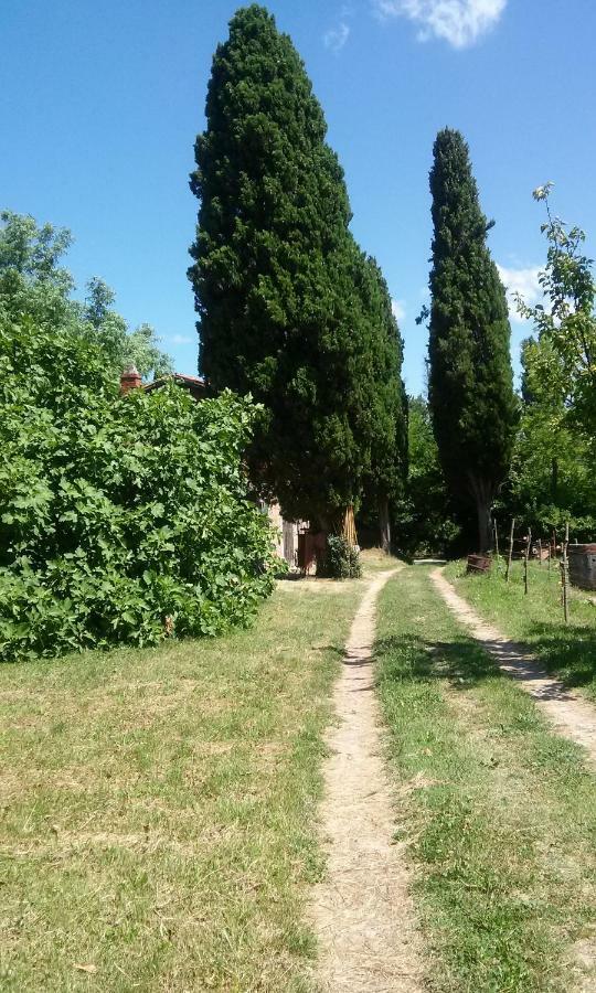 Agriturismo Bosco Fiorito Villa Múggia Exterior foto